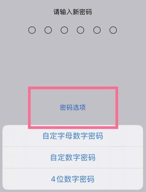 鼓楼苹果14维修分享iPhone 14plus设置密码的方法 