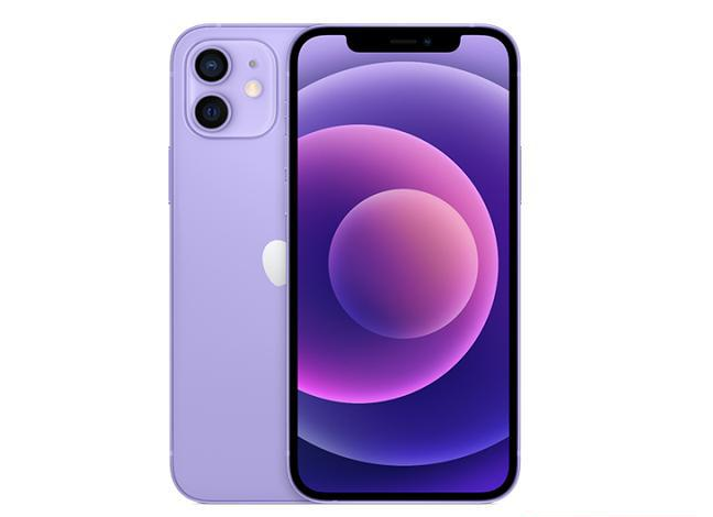 鼓楼苹果手机维修分享现阶段要不要入手紫色版iPhone12 